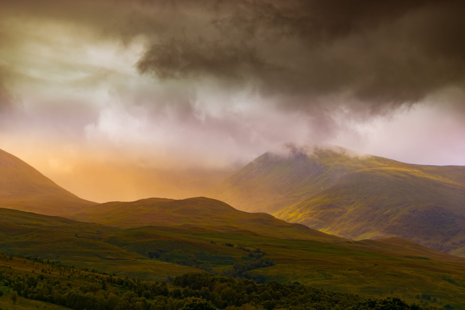 Grüne Hügellandschaft in Schottland, von warmem Abendlicht und dramatischen Wolken beleuchtet.
