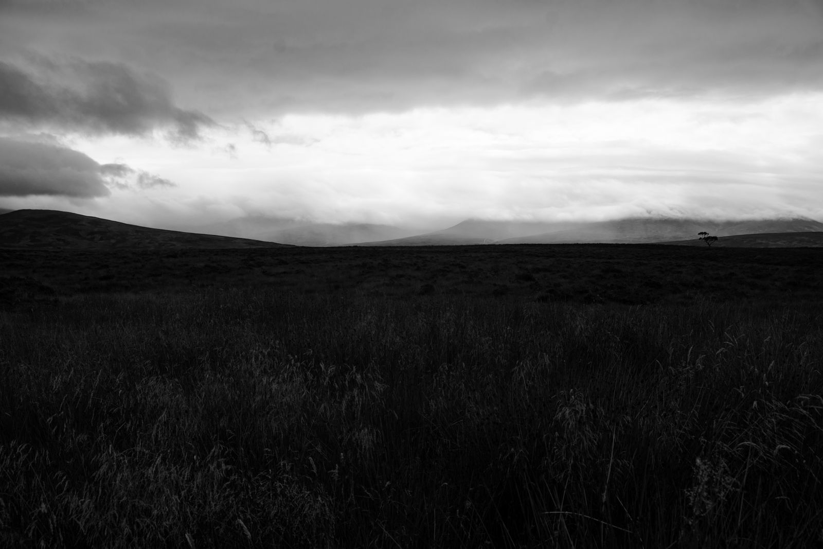 Schwarzweiß-Foto einer weiten Moorlandschaft auf der Isle of Skye mit einem einzelnen Baum.