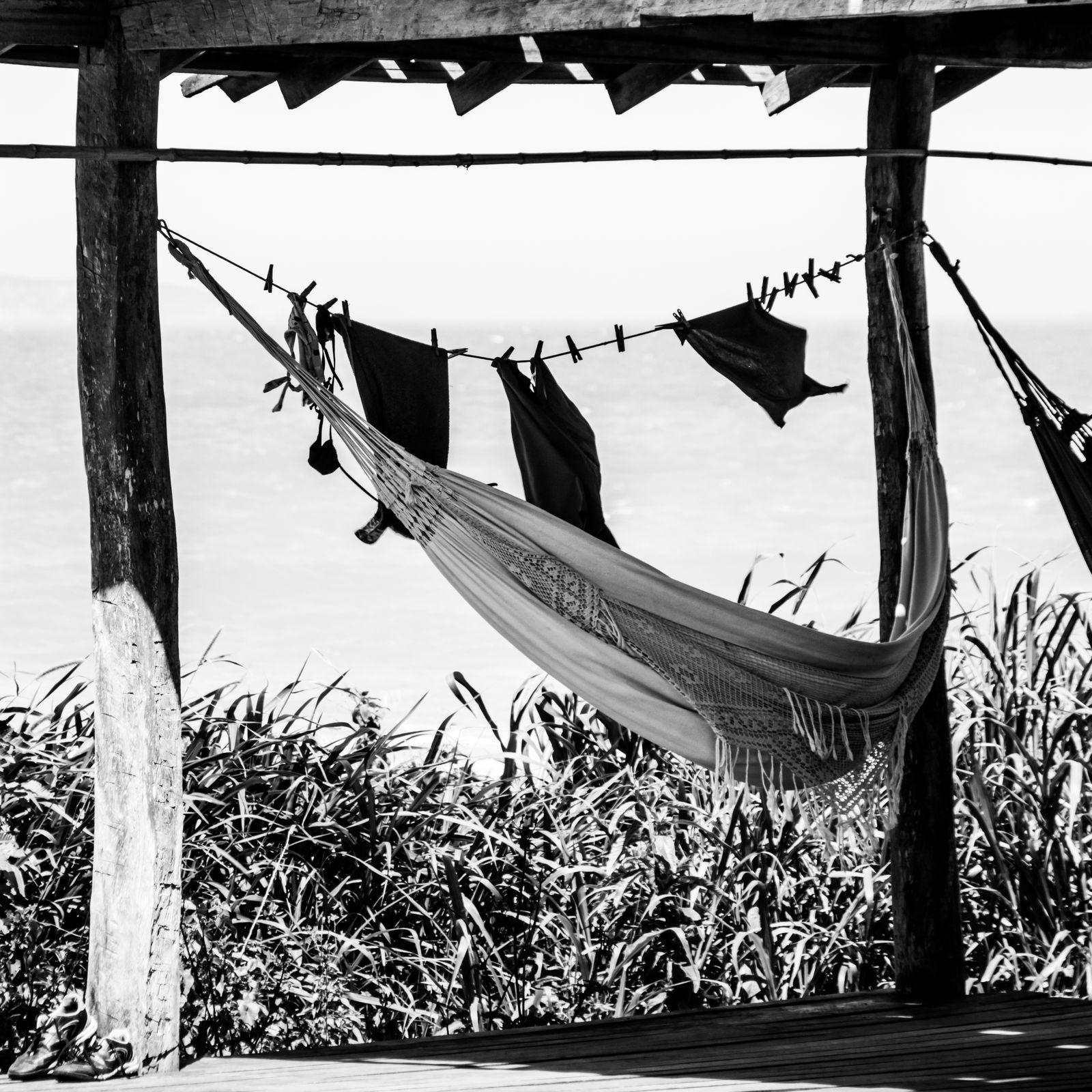Hängematte gespannt zwischen zwei Palmen auf hellem Sandstrand, dahinter das weite, ruhige Meer und ein offener Horizont in Brasilien