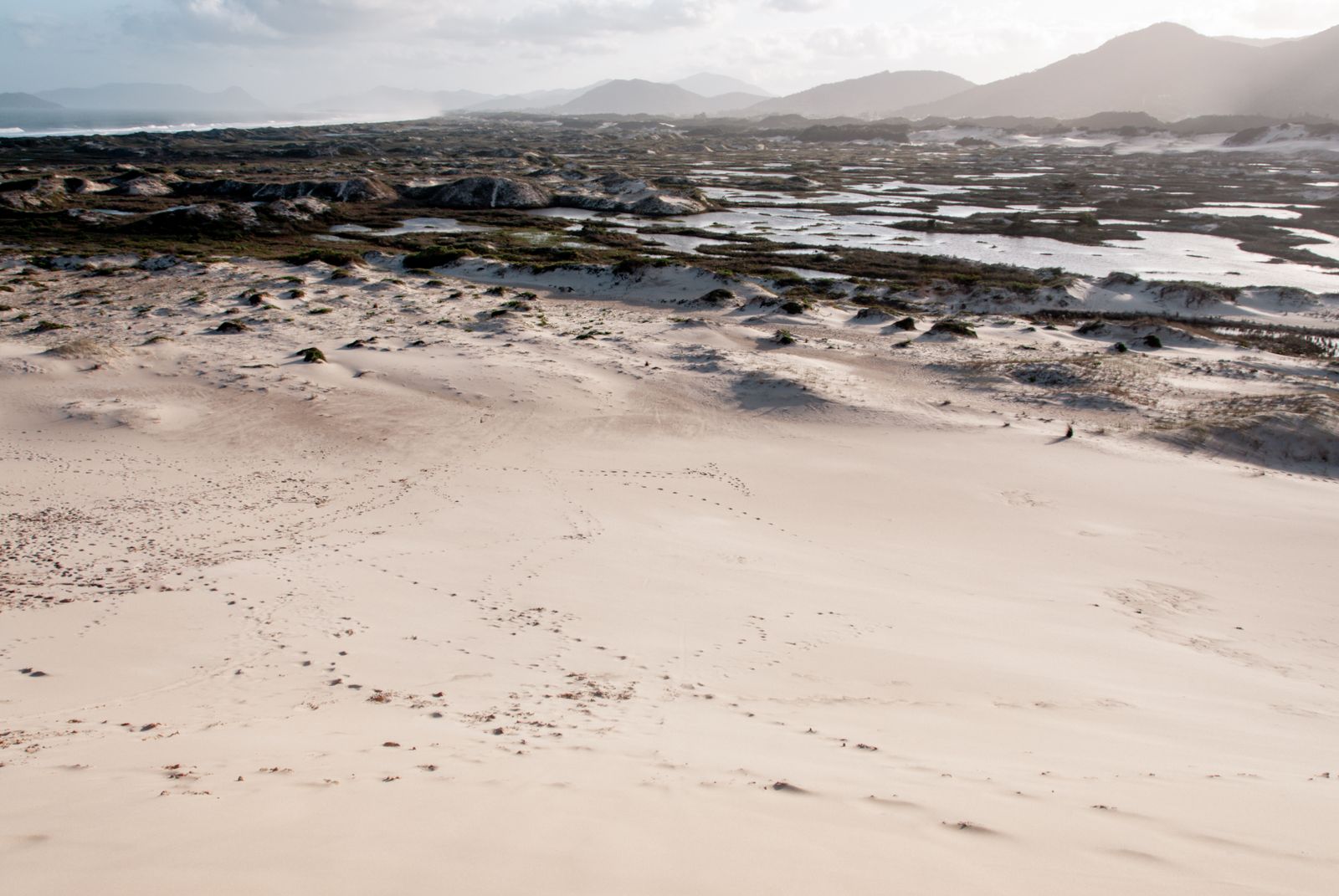 Sanfte Dünen und schimmernde Lagunen bei Florianópolis, minimalistisch fotografiert, mit klaren Linien und natürlicher Farbvielfalt.