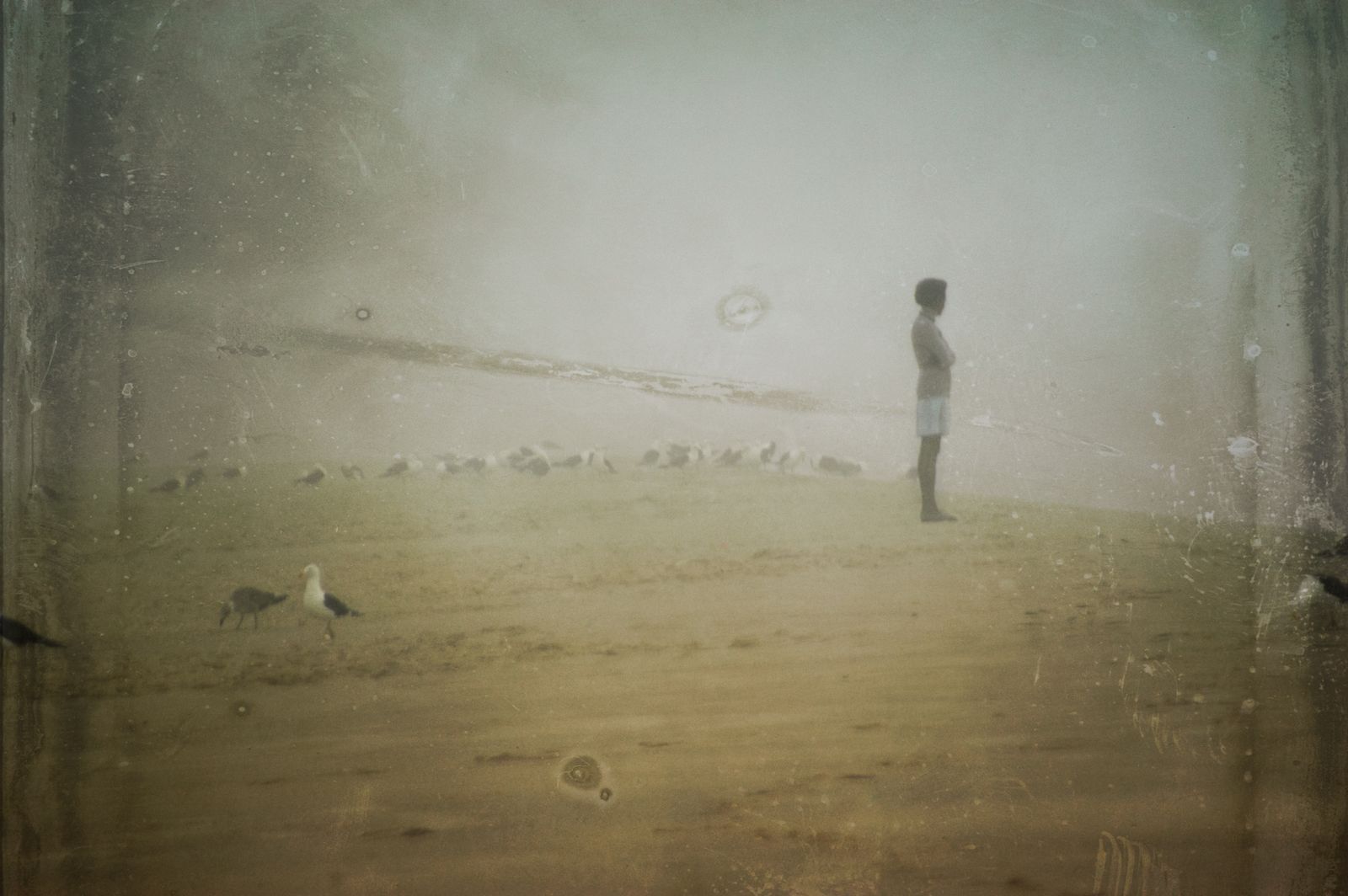 Weicher Nebel liegt über einem brasilianischen Sandstrand, mehrere Möwen fliegen ruhig über den Strand, minimalistische Komposition.