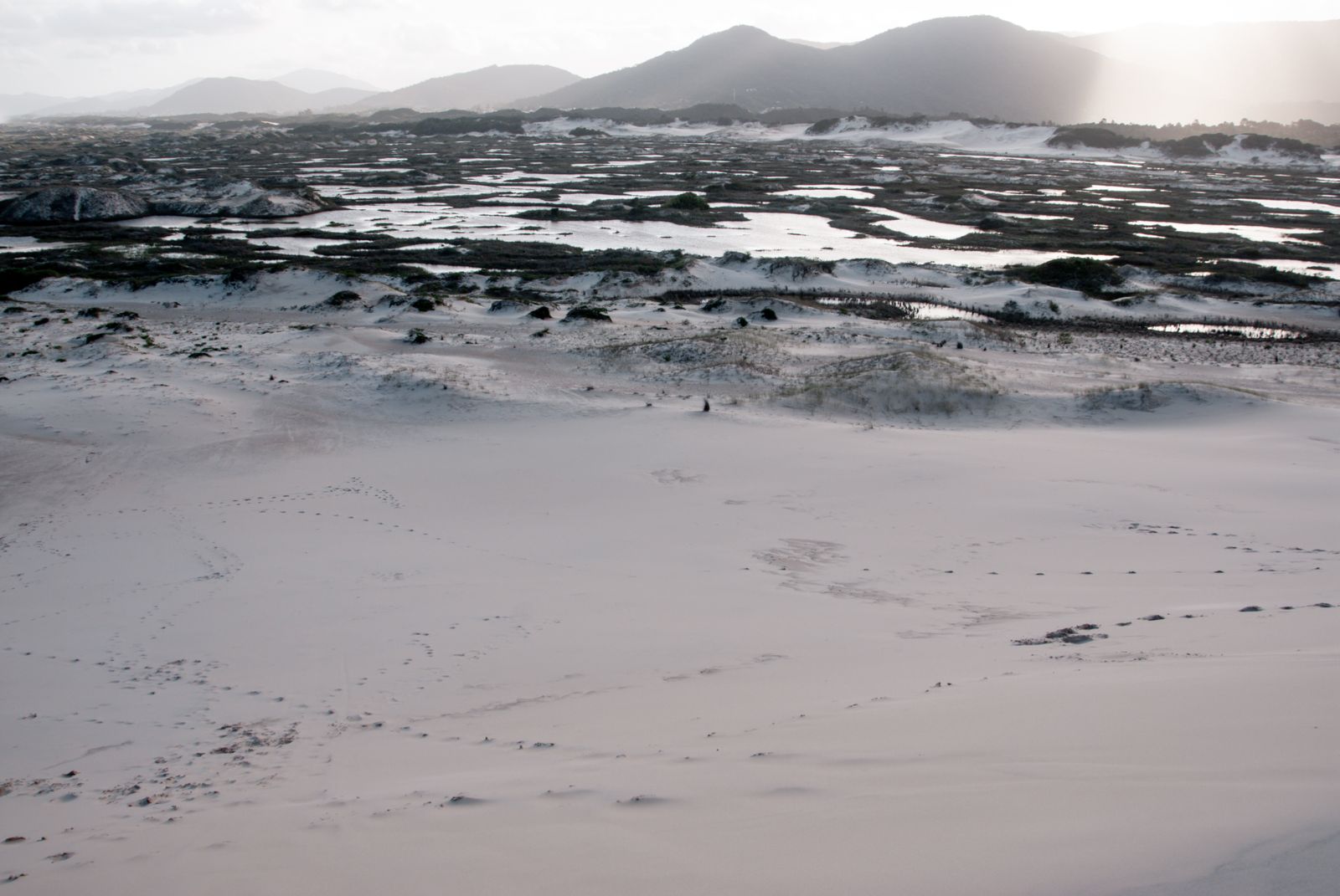 Weiche Sanddünen mit sanften Wellenformen treffen auf ruhige Lagunen, die das Licht des Himmels spiegeln. Minimalistische Naturaufnahme.
