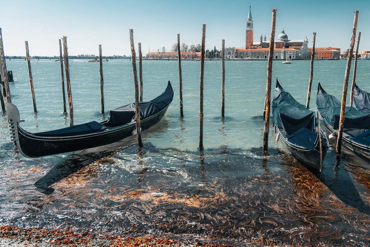 Mehrere venezianische Gondeln schaukeln sanft im goldenen Abendlicht vor der Kulisse der Kirche San Giorgio Maggiore in Venedig.