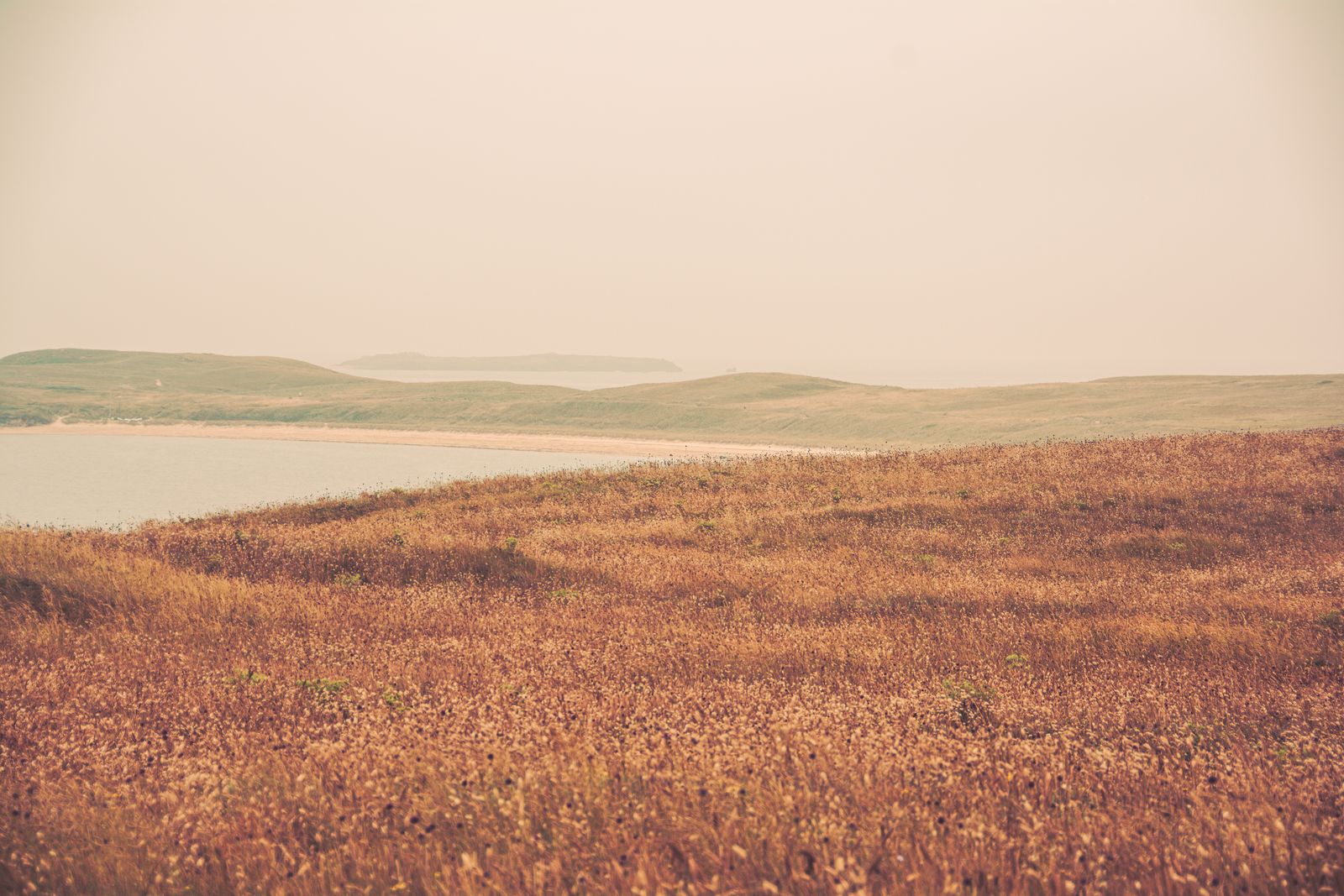 Weiche, sanft geschwungene Küstenhügel unter zartem Licht in Vintage-Optik, minimalistische Landschaft an der Nordküste der Highlands.