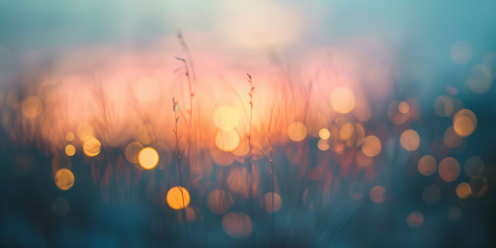 Zarte Gräser wiegen sich im sanften Abendlicht, im Vordergrund verschwimmen Halme zu einem weichen, atmosphärischen Bokeh.