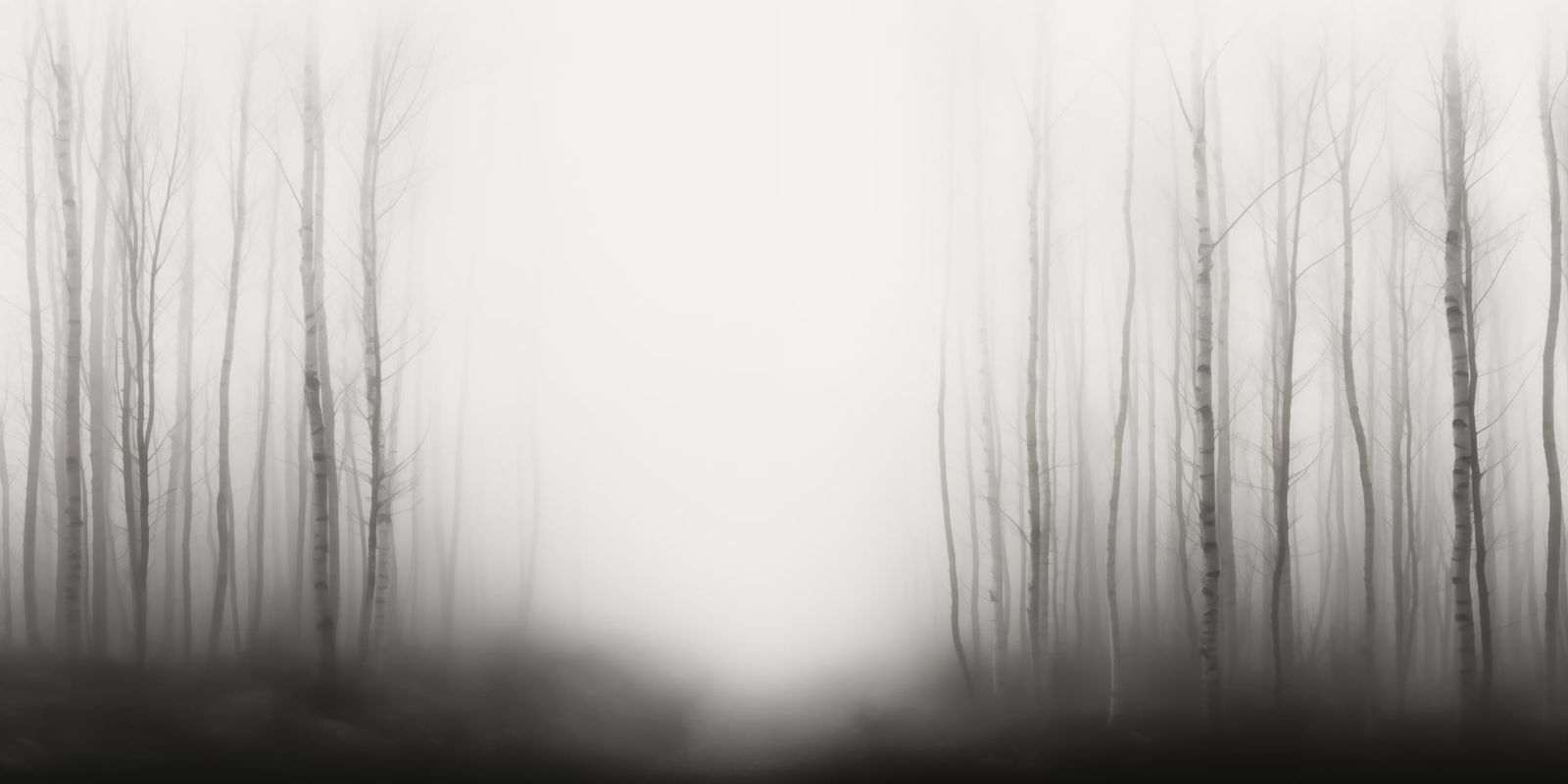 Monochrome Fotografie eines nebelverhangenen Waldes mit schlanken Baumstämmen, sanfter Unschärfe und minimalistischer Komposition.