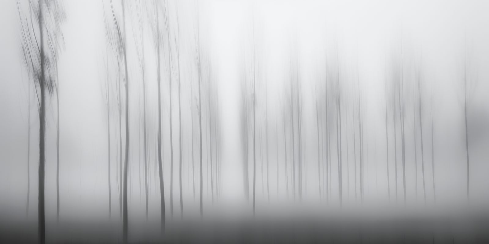 Panorama eines nebelverhangenen Waldes mit feinen Baumstrukturen, zarten Silhouetten und minimalistischer, ruhiger Atmosphäre.
