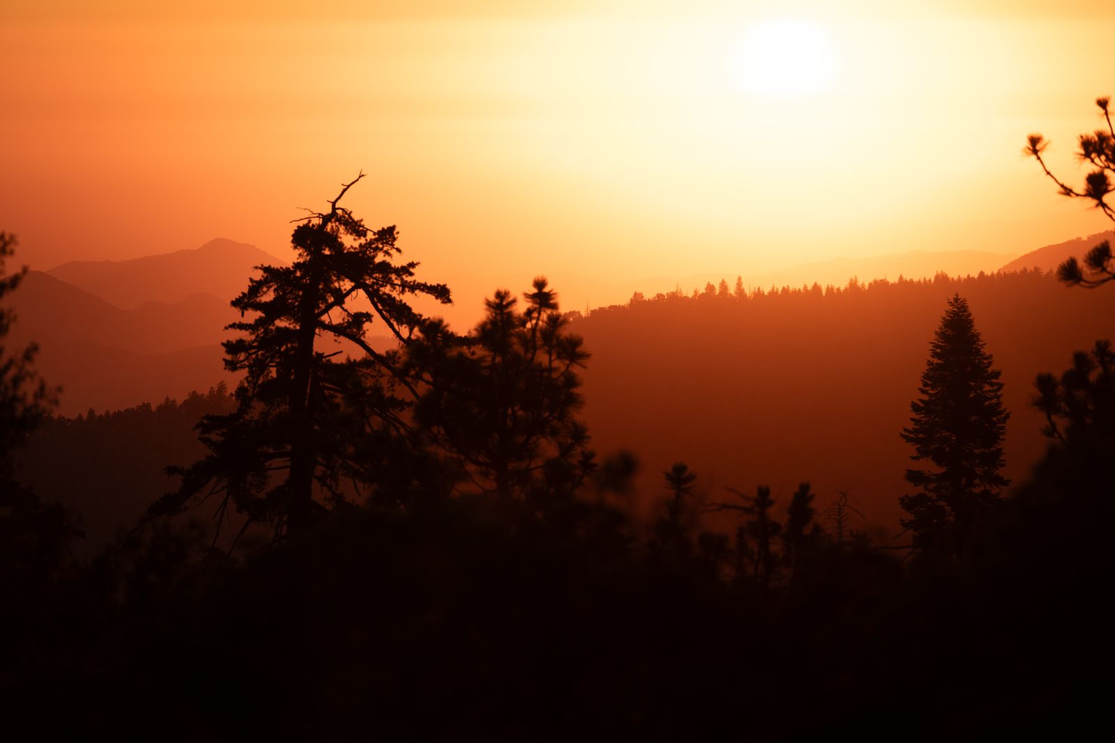 Sanfte, bewaldete Berge im goldenen Licht eines Sonnenuntergangs, dessen warme Farben die Hügel und Wälder in eine beruhigende Stimmung tauchen.