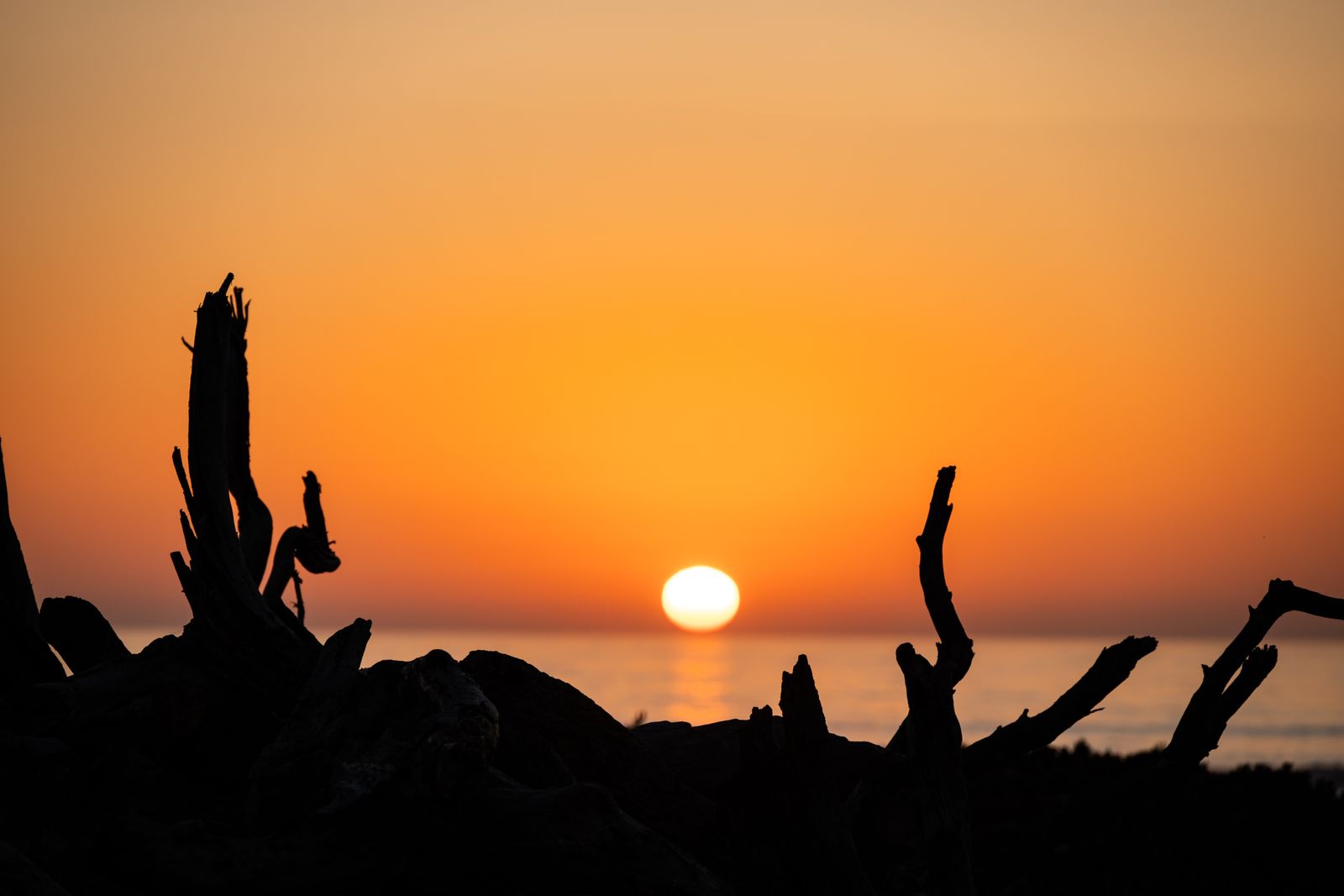 Minimalistisches Wandbild zeigt einen Sonnenuntergang am Meer mit Treibholz am ruhigen Strand, sanfte Farben, beruhigende und romantische Atmosphäre.