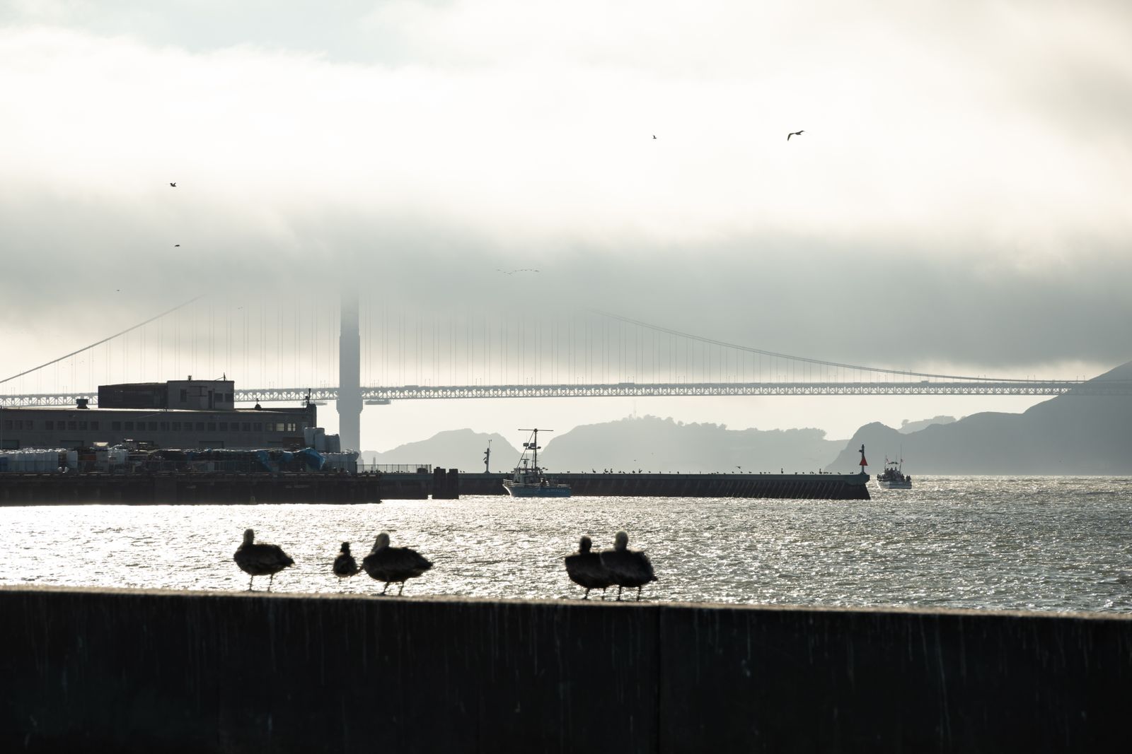 Die Golden Gate Bridge in San Francisco verschwindet teils im Nebel, rote Bögen zeichnen sich minimalistisch und ruhig im Dunst ab.
