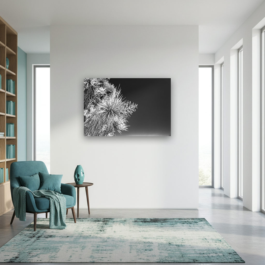 Schwarz-weißes Wandbild mit einem markanten Joshua Tree vor hellem Himmel, minimalistische und kontrastreiche Fotokunst.
