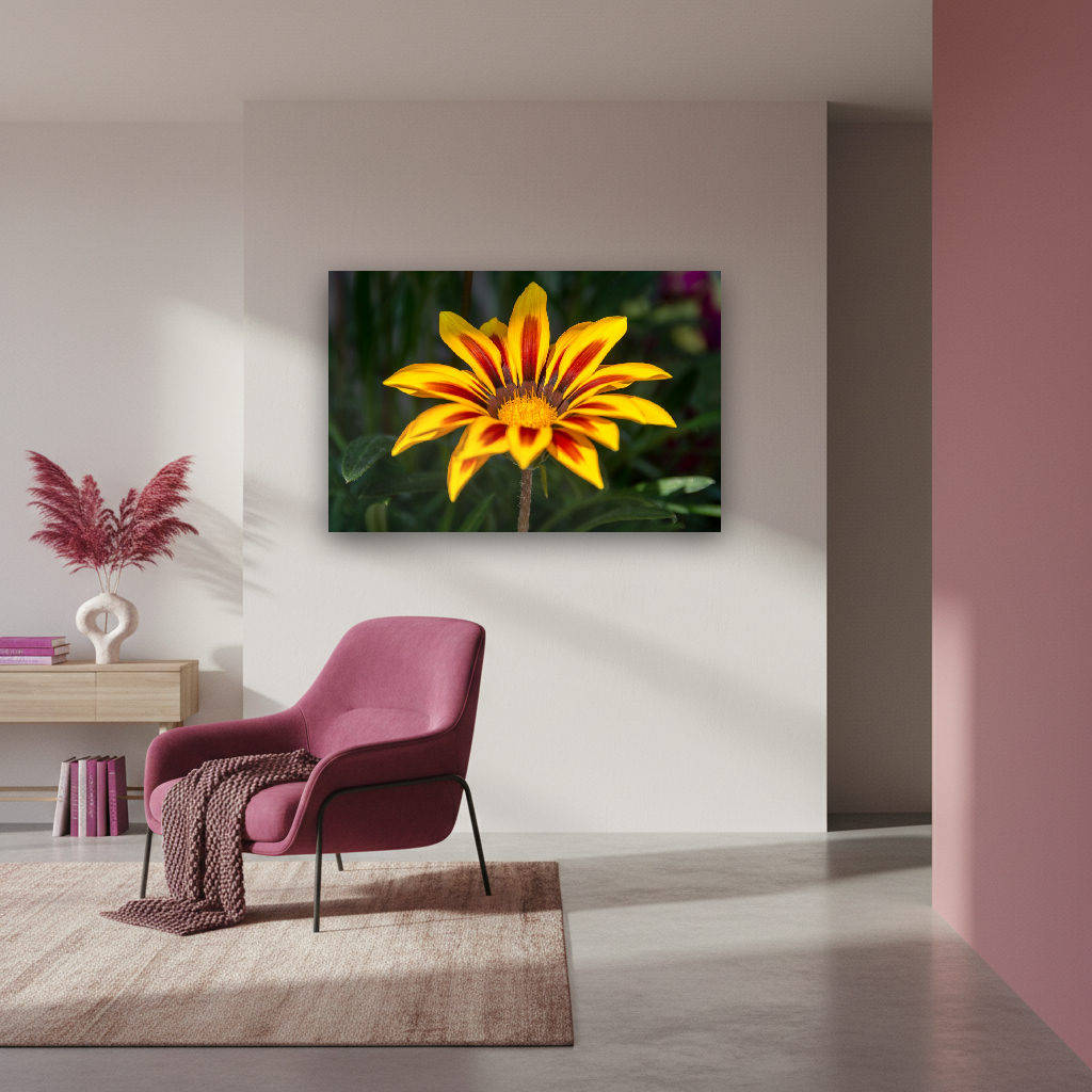 Makroaufnahme einer Sonnenstrahl-Gazanie mit detailreicher, bunter Blüte im Fokus, lebendig und fröhlich fotografiert