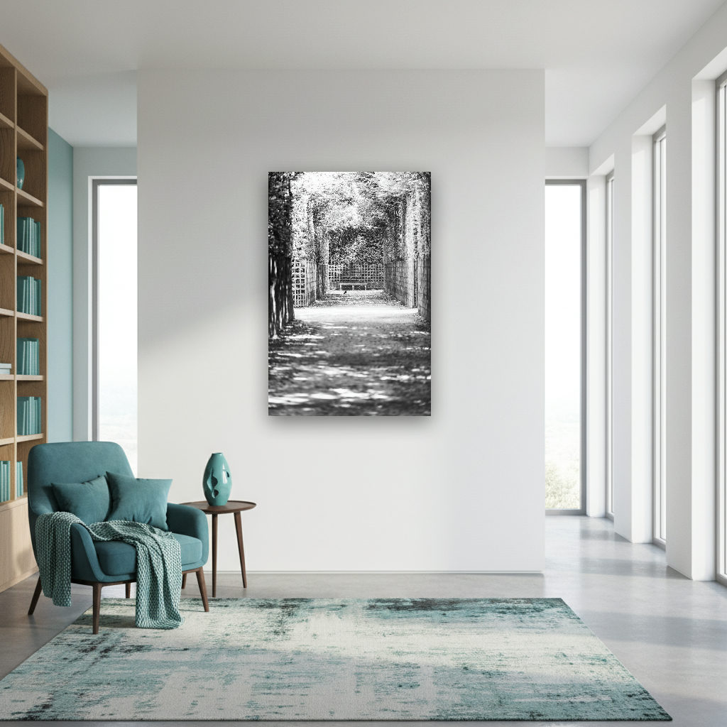Schwarzweiß-Fotografie einer von alten Bäumen gesäumten Gartenallee mit einer einsamen Parkbank in ruhiger, minimalistischer Atmosphäre